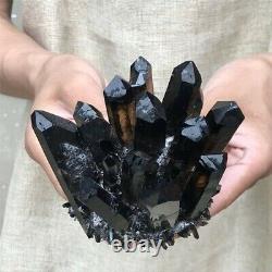 Natural Black Smokey Quartz Crystal Cluster Mineral Specimen Healing