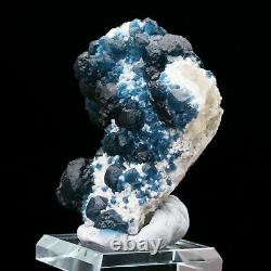 Natural Blue Fluorite With Quartz Crystal Cluster Point Mineral Specimen