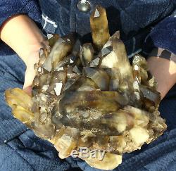 Natural Clear Smoky Citrine Quartz Point Crystal Cluster Healing Mineral 11.55lb