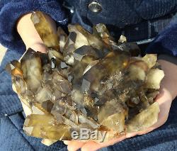 Natural Clear Smoky Citrine Quartz Point Crystal Cluster Healing Mineral 11.55lb
