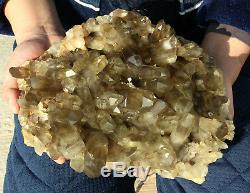 Natural Clear Smoky Citrine Quartz Point Crystal Cluster Healing Mineral 11.66lb