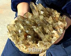 Natural Clear Smoky Citrine Quartz Point Crystal Cluster Healing Mineral 11.66lb