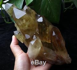 Natural Clear Smoky Citrine Quartz Point Crystal Cluster Healing Mineral 4.47lb