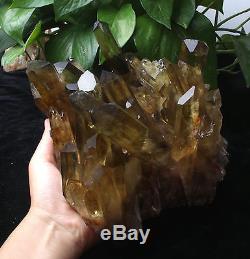 Natural Clear Smoky Citrine Quartz Point Crystal Cluster Healing Mineral 7.3lb
