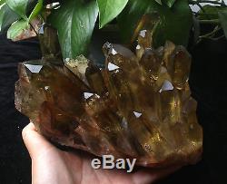 Natural Clear Smoky Citrine Quartz Point Crystal Cluster Healing Mineral 7.3lb