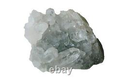 Natural Cluster Green Chlorite Manihar Quartz 277gms Healing Crystal Specimen
