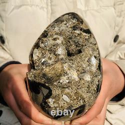 Natural Dragon Septarian Geode Quartz Cluster Crystal egg Healing 1865g