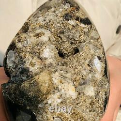 Natural Dragon Septarian Geode Quartz Cluster Crystal egg Healing 1865g