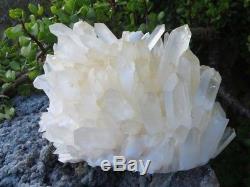 Natural Extra Large Quartz Crystal Cluster Hedgehog