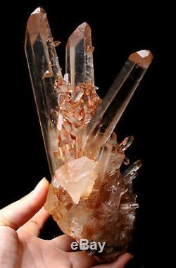 Natural Rare Beautiful Red skin QUARTZ Cluster Crystal Tibetan Specimen 2.73lb