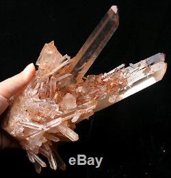 Natural Rare Beautiful Red skin QUARTZ Cluster Crystal Tibetan Specimen 2.73lb