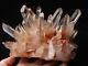 Natural Rare Beautiful Red Skin Quartz Cluster Crystal Tibetan Specimen 3.91lb