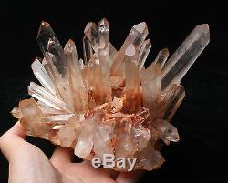 Natural Rare Beautiful Red skin QUARTZ Cluster Crystal Tibetan Specimen 3.91lb