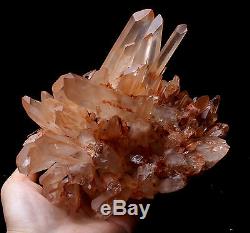 Natural Rare Beautiful Red skin QUARTZ Cluster Crystal Tibetan Specimen 4.51lb