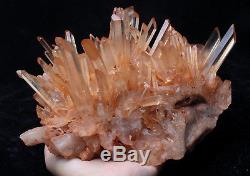 Natural Rare Beautiful Red skin QUARTZ Cluster Crystal Tibetan Specimen 5.1lb
