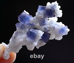 Natural Rare Clear Blue Cube Fluorite CRYSTAL CLUSTER Mineral Specimen 16g
