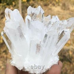 Natural Rare White Quartz Crystal Cluster Therapy Ornament Home Room Decoration