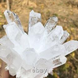 Natural Rare White Quartz Crystal Cluster Therapy Ornament Home Room Decoration