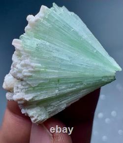 Natural Tourmaline Crystals Bunch Specimen From Afghanistan 105 CTs