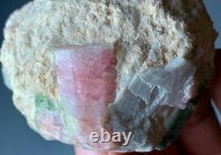 Natural Tourmaline Crystals Bunch Specimen From Afghanistan 172 G