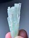 Natural Tourmaline Crystals Bunch Specimen From Afghanistan 52 Cts
