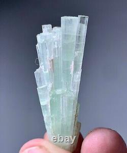 Natural Tourmaline Crystals Bunch Specimen From Afghanistan 52 CTs