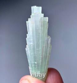Natural Tourmaline Crystals Bunch Specimen From Afghanistan 52 CTs