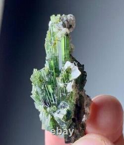 Natural Tourmaline Crystals Bunch Specimen From Afghanistan 67 CT