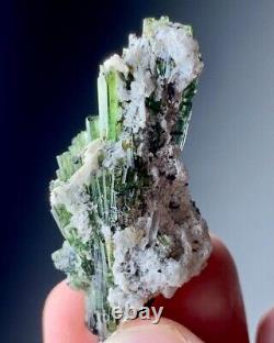 Natural Tourmaline Crystals Bunch Specimen From Afghanistan 67 CT