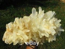 Natural XX Large Quartz Crystal Cluster