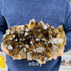 Natural smoky black Quartz Cluster Crystal Specimen Reiki Healing 4100g