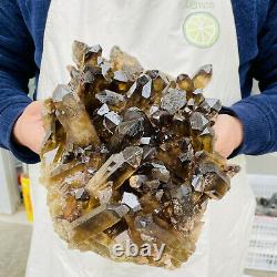 Natural smoky black Quartz Cluster Crystal Specimen Reiki Healing 4100g