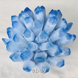 New Find Blue Phantom Quartz Crystal Cluster Mineral Specimen Healing 4019G