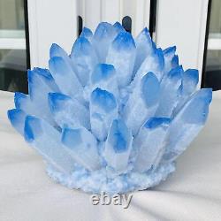 New Find Blue Phantom Quartz Crystal Cluster Mineral Specimen Healing 4019G