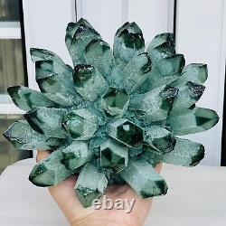 New Find Green Phantom Quartz Crystal Cluster Mineral Specimen Healing 3500G