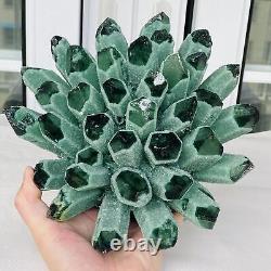 New Find Green Phantom Quartz Crystal Cluster Mineral Specimen Healing 3769G