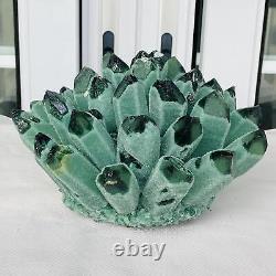 New Find Green Phantom Quartz Crystal Cluster Mineral Specimen Healing 3769G