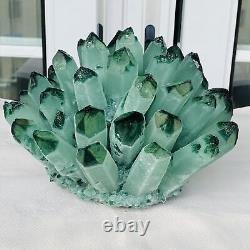 New Find Green Phantom Quartz Crystal Cluster Mineral Specimen Healing 4473G