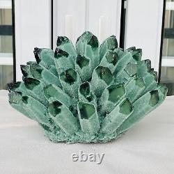 New Find Green Phantom Quartz Crystal Cluster Mineral Specimen Healing 4524G