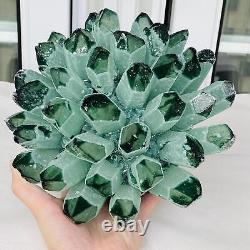 New Find Green Phantom Quartz Crystal Cluster Mineral Specimen Healing 4940G