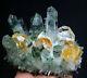 New Find Green/yellow Phantom Quartz Crystal Cluster Mineral Specimen 660g