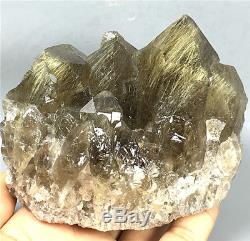 New Find NATURAL Clear Golden RUTILATED QUARTZ Crystal Cluster Specimen / Brazil