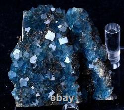 New Find Transparent Blue Cube Fluorite CRYSTAL CLUSTER Mineral Specimen 532g