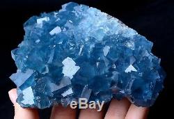 New Find Transparent Blue Cube Fluorite Crystal Cluster Mineral Specimen 561g