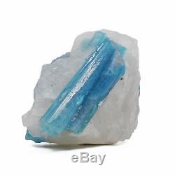 Paraiba Tourmaline 2.12 inch 105.8 grams in Quartz Natural Gem Crystal Cluster