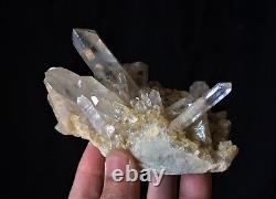 Phantom Quartz Cluster Himalayan Crystal /Mineral 120x70mm, Extra Quality