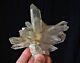 Phantom Quartz Cluster Himalayan Crystal /mineral 130x130mm, Extra Quality
