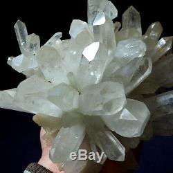Phenomenal Rare Angels Peace Lemurian Quartz Cluster with Turquoise-Green