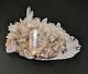 Pink Himalayan Quartz Cluster Natural Crystal /mineral 180x120mm (e1)