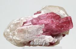 Pink Tourmaline Rubellite in Quartz Crystal Cluster Mineral Specimen RUSSIA